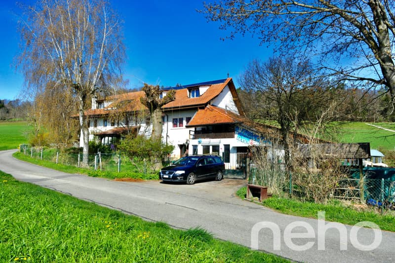 Spacious triplex with terrace, garden and indoor pool (1)