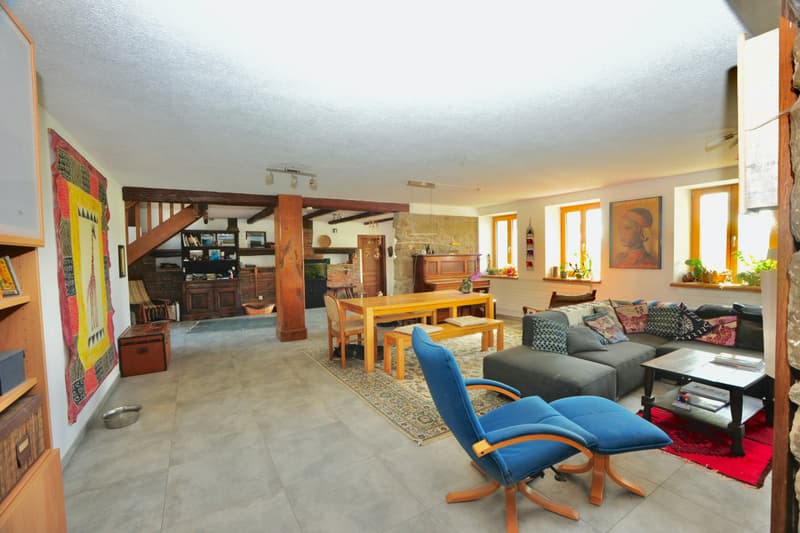 Spacious triplex with terrace, garden and indoor pool (4)