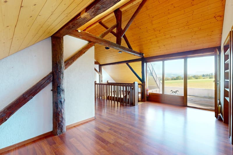 Spacious triplex with terrace, garden and indoor pool (11)