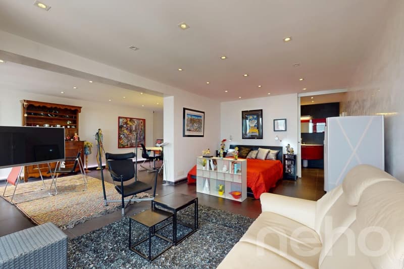 Apartment completely renovated in the center of Champéry, panoramic view (3)