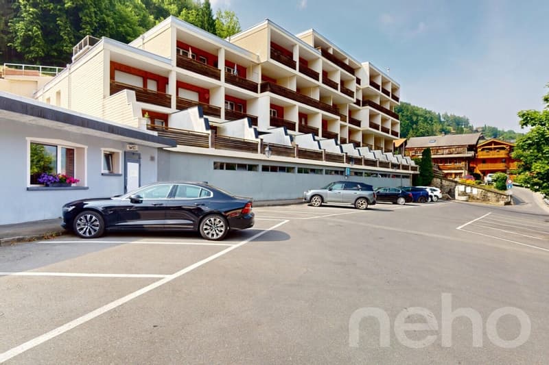 Apartment completely renovated in the center of Champéry, panoramic view (11)