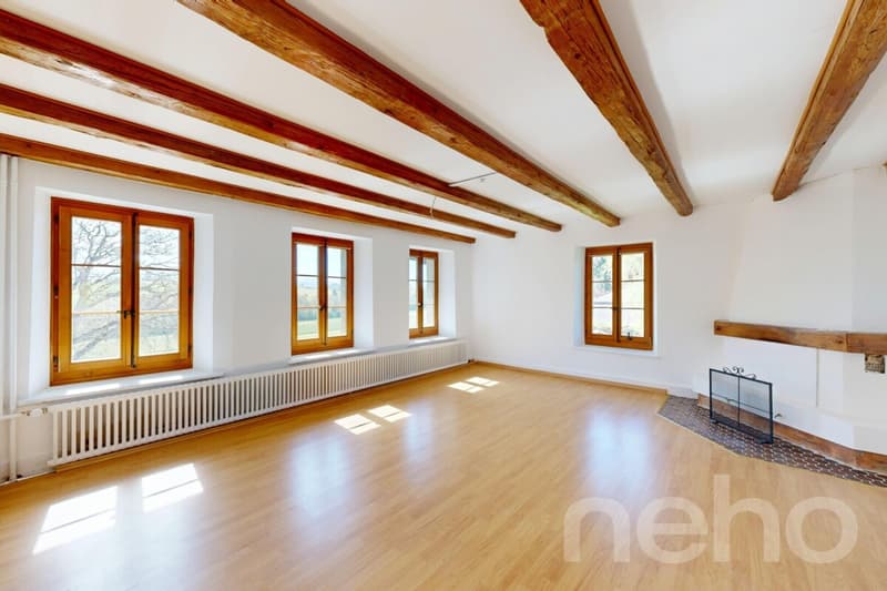 Duplex au charme authentique avec jardin privatif à 20min de Lausanne (5)