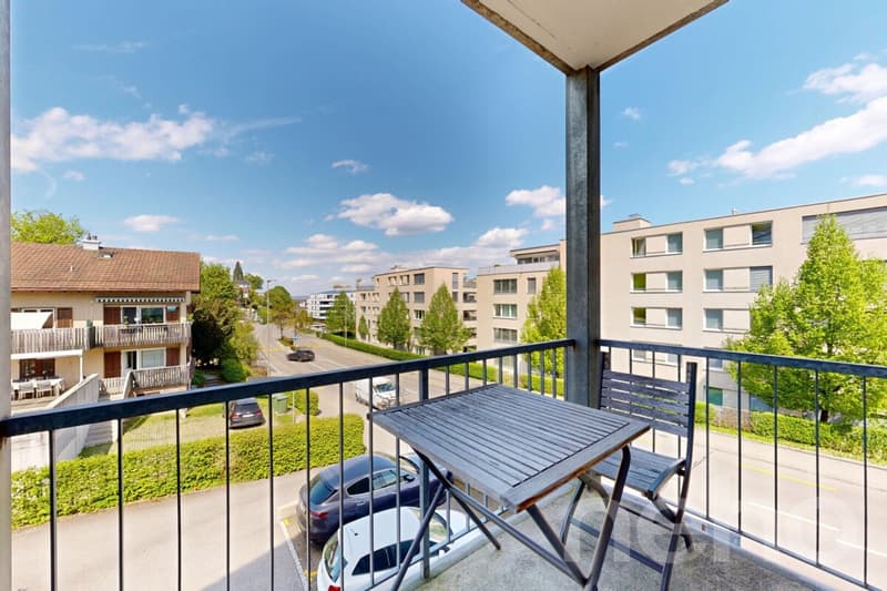 Appartement rénové avec balcon et proximité du lac (7)