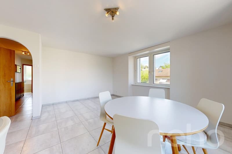 Appartement rénové avec balcon et proximité du lac (9)