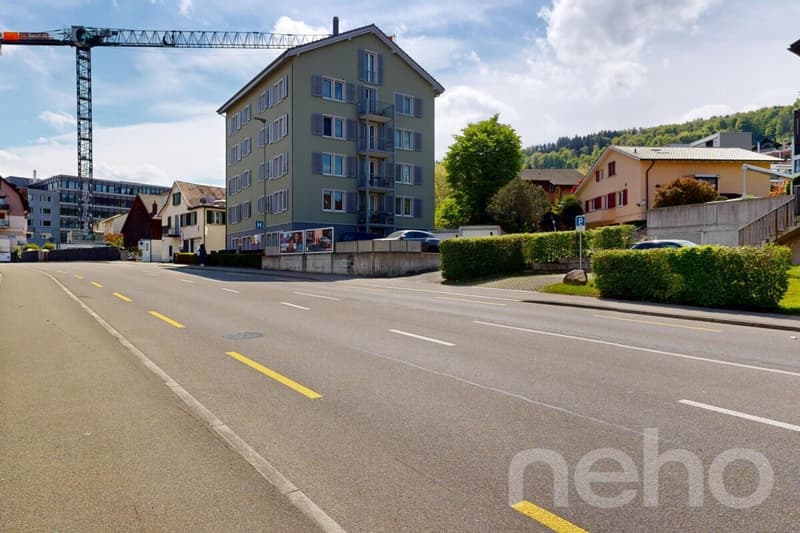 Appartement rénové avec balcon et proximité du lac (11)