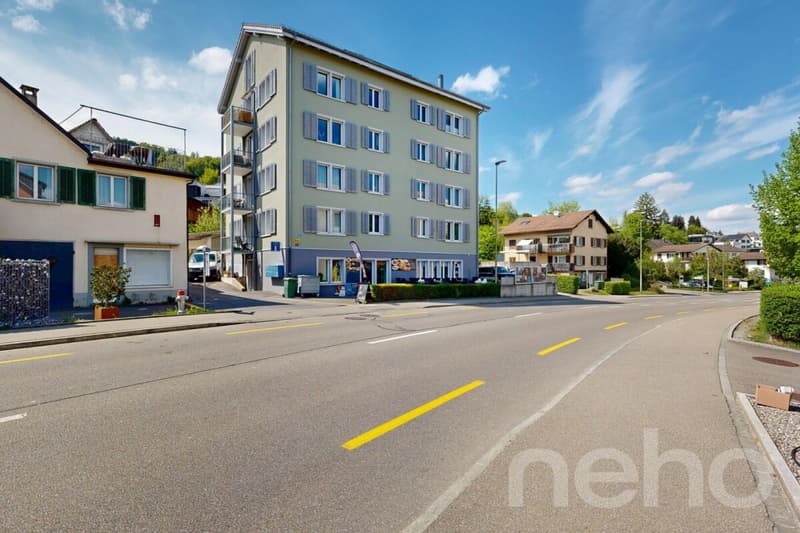 Appartement rénové avec balcon et proximité du lac (1)