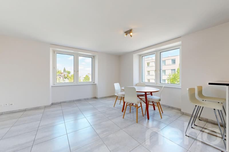 Appartement rénové avec balcon et proximité du lac (5)