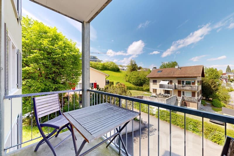 Appartement rénové avec balcon et proximité du lac (3)