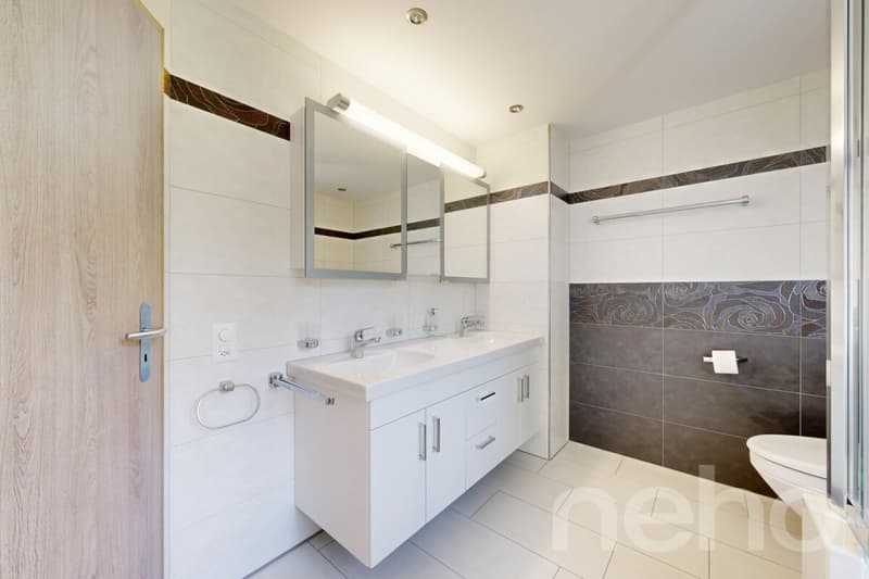 Appartement rénové avec balcon et proximité du lac (10)