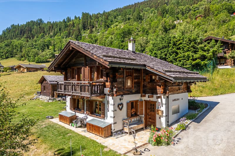 Chalet authentique + dépendance de charme (1)