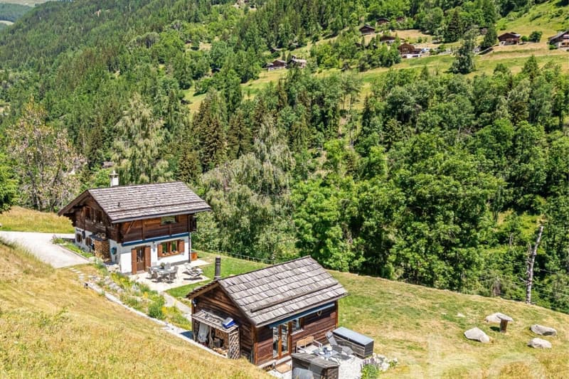 Chalet authentique + dépendance de charme (3)