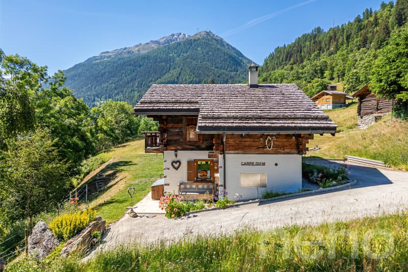 Chalet authentique + dépendance de charme (4)