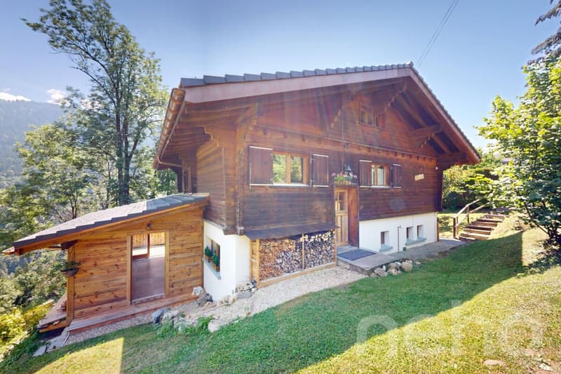 Esclusivo: magnifico chalet di 2 appartamenti (11)