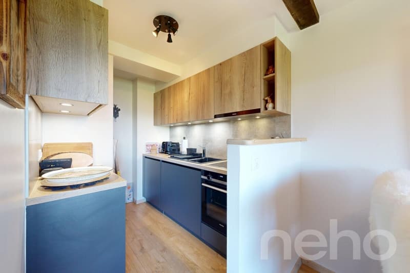 Exclusive: Magnificent apartment in high-standard PPE (5)