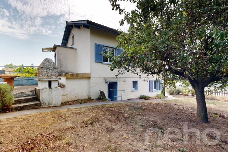 Casa 5.5 locali a Landeron con vigneti e grande potenziale (10)