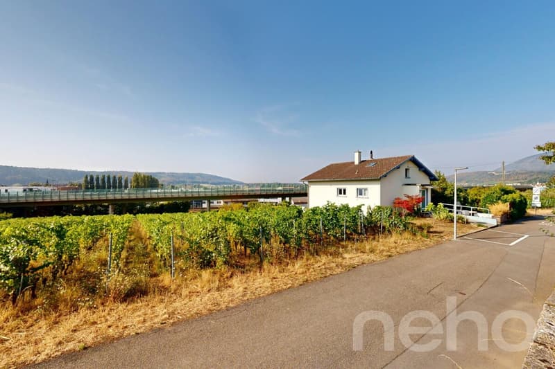 Casa 5.5 locali a Landeron con vigneti e grande potenziale (3)