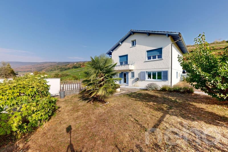 Casa 5.5 locali a Landeron con vigneti e grande potenziale (4)