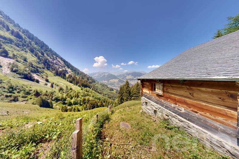 Autentico chalet alpino ? Disconnessione totale e charme alpino (1)