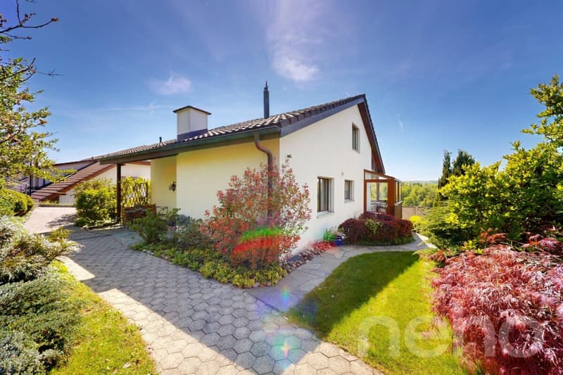 Freistehendes 6.5-Zimmer-Einfamilienhaus an ruhiger Lage in Eggenwil (1)