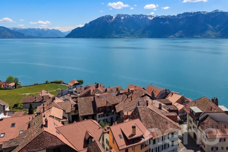 Maison vigneronne du XVII? rénovée ? Vue lac & Alpes au c?ur de Rivaz (2)