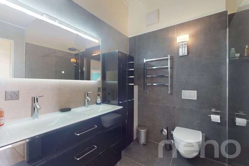 Spacieux duplex en attique ? Volume et confort contemporain (11)