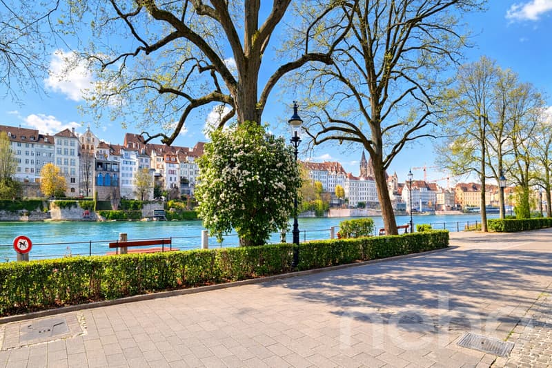 Exclusive living on the Rhine with a view of Basel Minster (2)