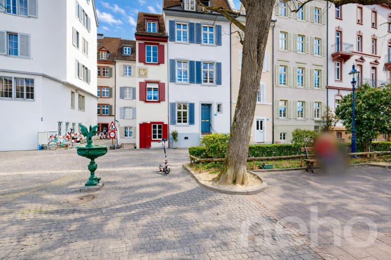 Exclusive living on the Rhine with a view of Basel Minster (1)