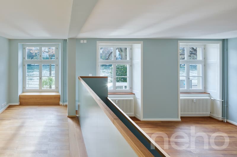 Exclusive living on the Rhine with a view of Basel Minster (5)
