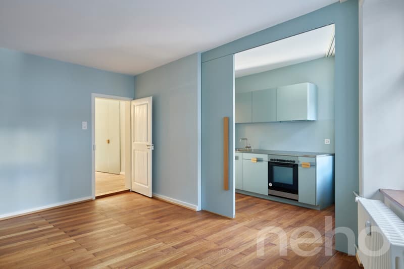 Exclusive living on the Rhine with a view of Basel Minster (10)
