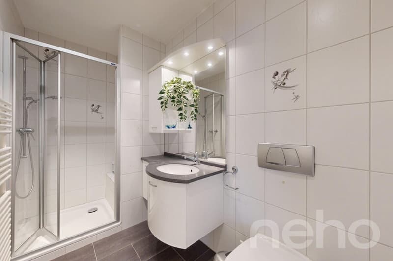 Attic apartment with charm and view of Belpberg (11)