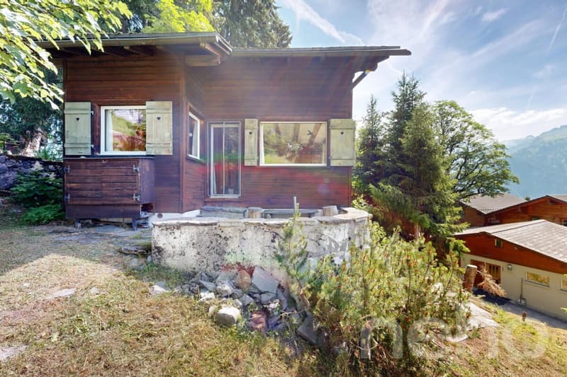 Alpines Chalet mit Einliegerwohnung und traumhafter Bergsicht (3)