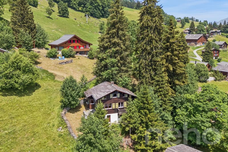 Alpines Chalet mit Einliegerwohnung und traumhafter Bergsicht (1)
