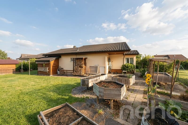 Bright Family House with Garden and Potential for a Studio (2)
