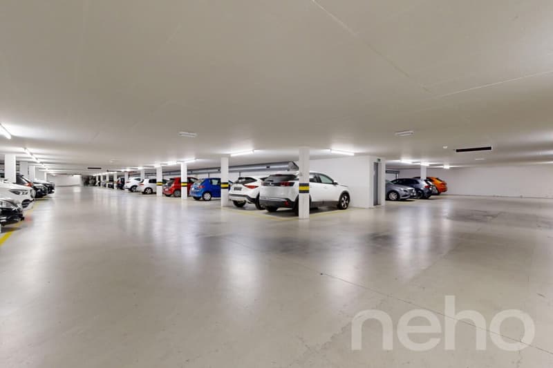 Renovated in 2026: Magnificent 4.5 rooms with spacious terrace (12)
