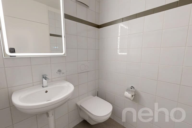 Renovated in 2026: Magnificent 4.5 rooms with spacious terrace (10)