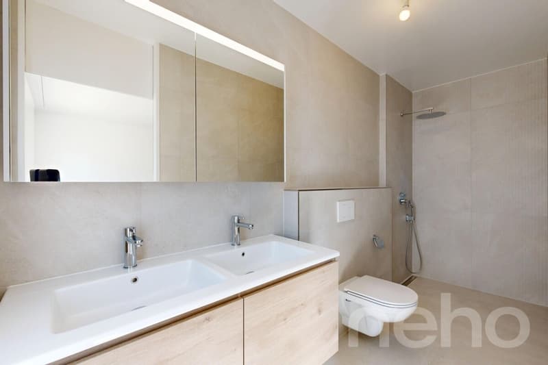 Renovated in 2026: Magnificent 4.5 rooms with spacious terrace (8)