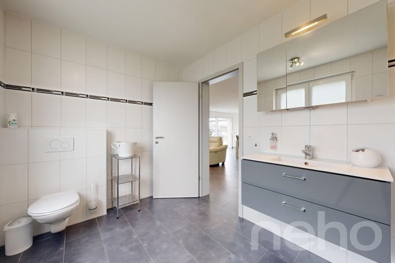 Magnifique maison familiale de 215 m² dans un cadre verdoyant à Bonfol (12)