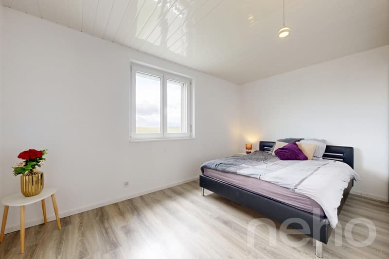 Magnifique maison familiale de 215 m² dans un cadre verdoyant à Bonfol (5)