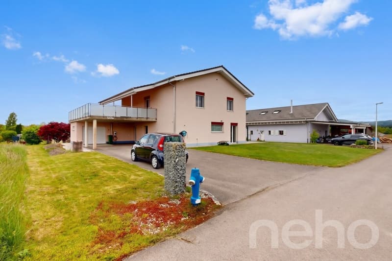 Magnifique maison familiale de 215 m² dans un cadre verdoyant à Bonfol (3)