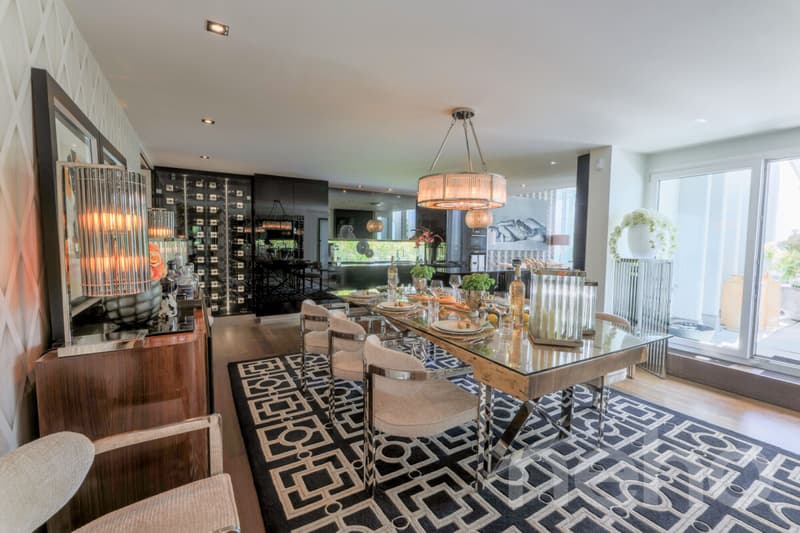 Exklusive Terrassenwohnung mit Panorama-Aussicht (4)
