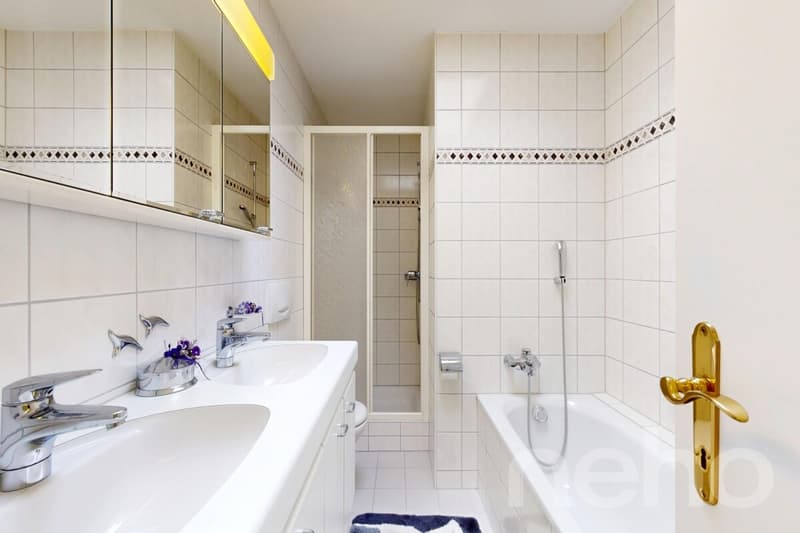 Helle Attikawohnung mit Dachterrasse, Cheminée & Charme (9)