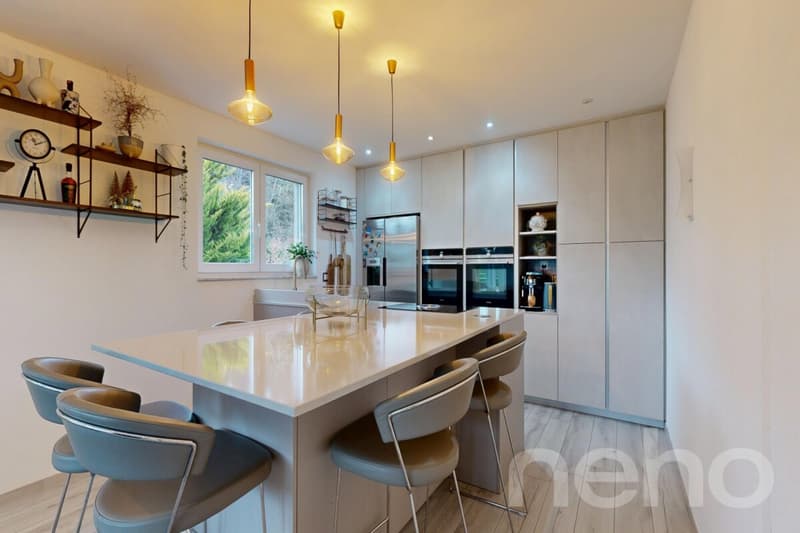 Magnifique 6.5 pièces modulable avec jardin et terrasse d?exception (7)