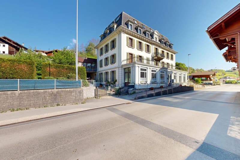 Character hotel with strong development potential (1)