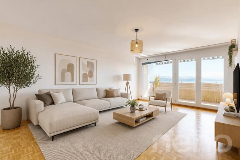 Libre de suite : Bel appartement avec sa vue sur le lac ! (3)