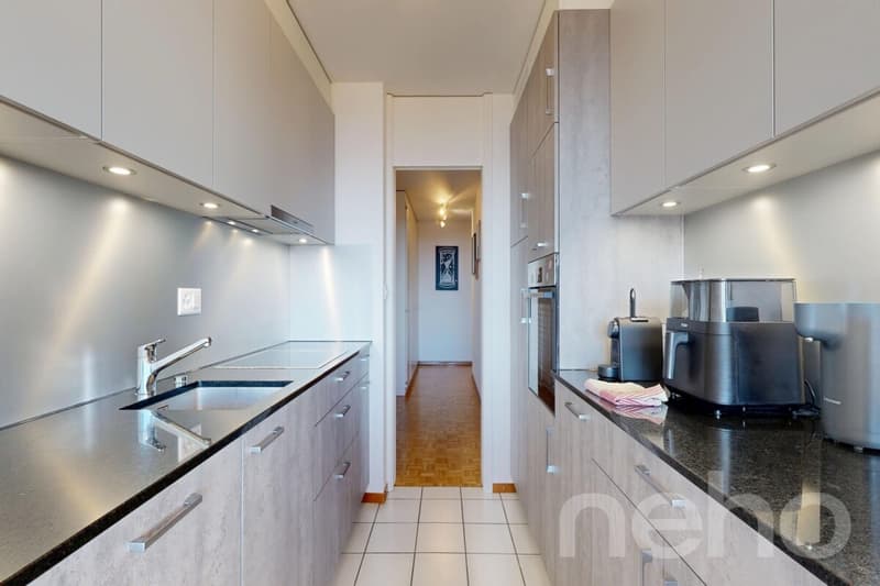 Libre de suite : Bel appartement avec sa vue sur le lac ! (5)