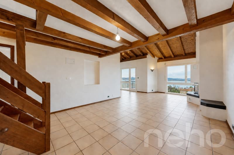 St Blaise: Top floor with lake view, mezzanine and beautiful volumes (2)