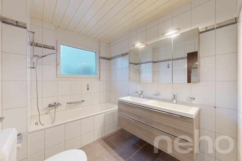 St Blaise: Top floor with lake view, mezzanine and beautiful volumes (10)