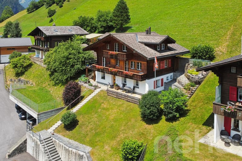 Familiäres Wohnen mit Einliegerwohnung und Bergpanorama (1)