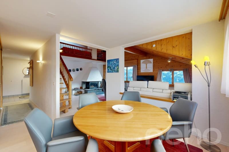 Bel appartement au dernier étage avec mezzanine (5)