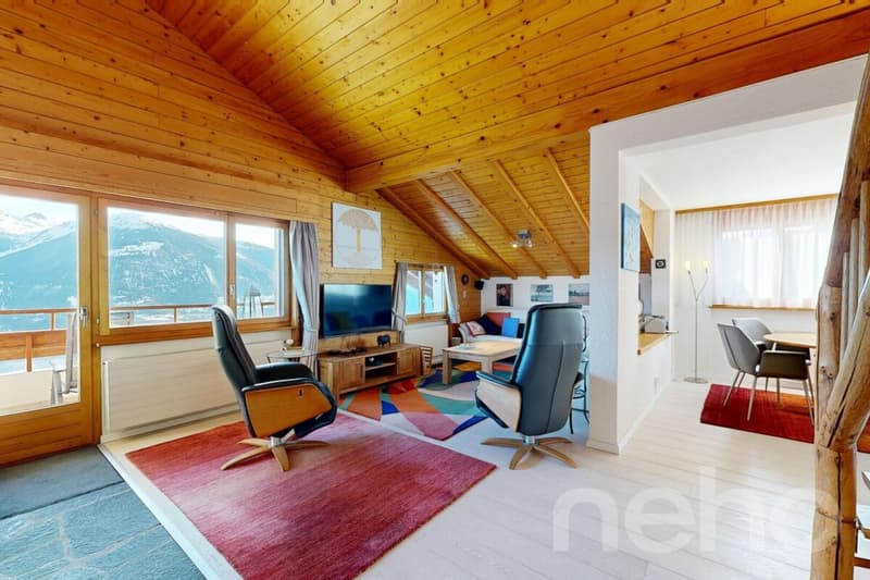 Bel appartement au dernier étage avec mezzanine (3)